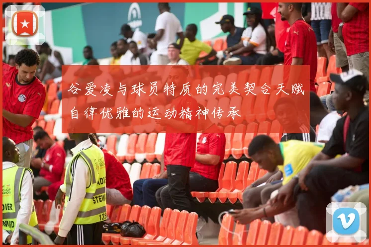 谷爱凌与球员特质的完美契合天赋自律优雅的运动精神传承
