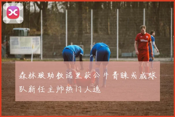 森林狼助教诺里获公牛青睐或成球队新任主帅热门人选